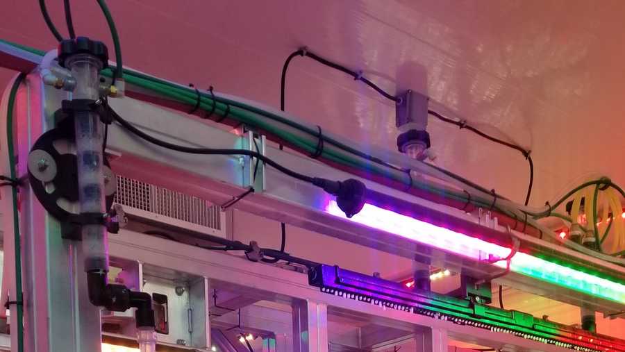 NH best car washes of 2023