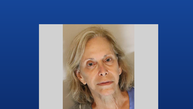 South Florida woman accused of murder-for-hire plot has new attorney - Vimarsana News