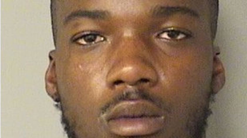 2-year-old shoots hand; gun owner in Florida arrested