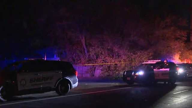 Homicide investigation in Carmichael after fight leads to man's death, 1 detained - Vimarsana News
