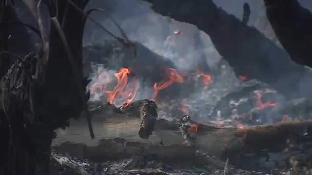 Brush fire in south Florida originated from lightning strike - Vimarsana News