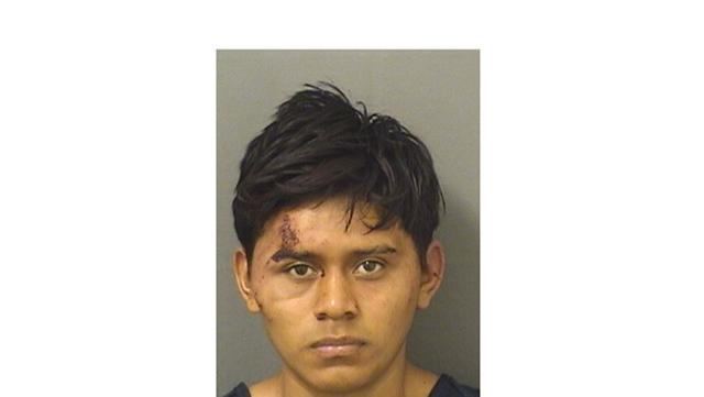 Undocumented immigrant accused of sexual assault in Florida - Vimarsana News