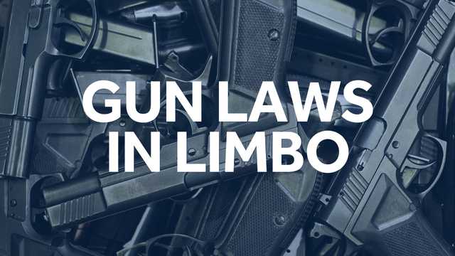 Gun violence expert: Gun law ruling will be appealed successfully - Vimarsana News
