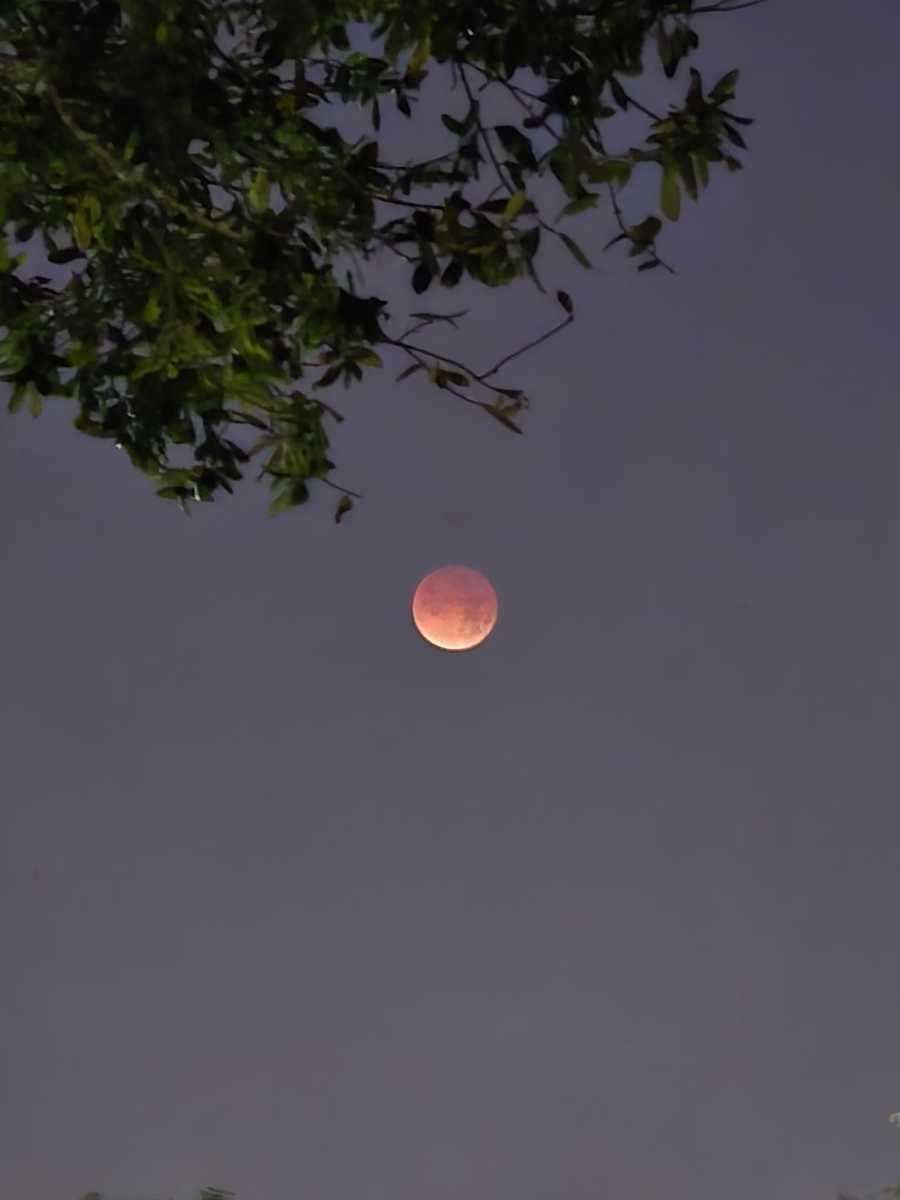 Photos: Total lunar eclipse captured across the Gulf Coast Tuesday morning