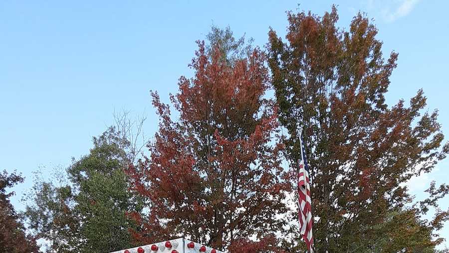 Viewers' Choice 2020 Best french fries