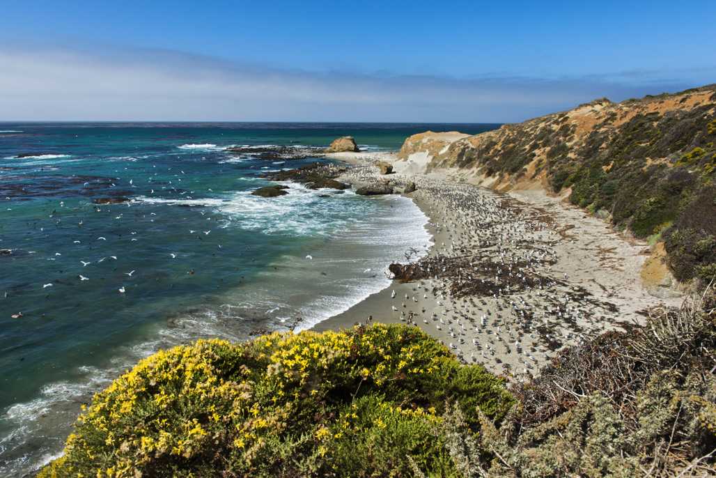 Andrew molera trail outlet campground