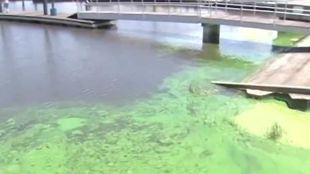 Toxic Blue-Green Algae Task Force discusses progress and continued efforts - Vimarsana News