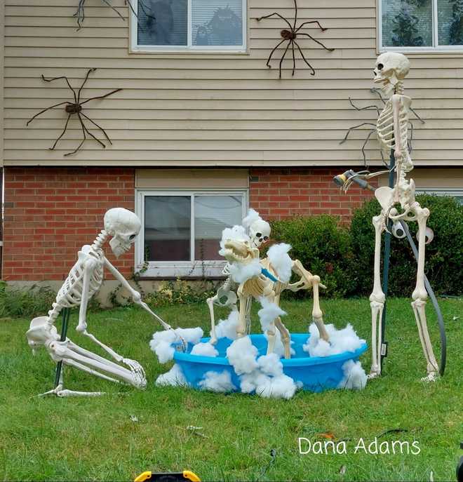 House in Hamilton creating different skeleton displays everyday this ...