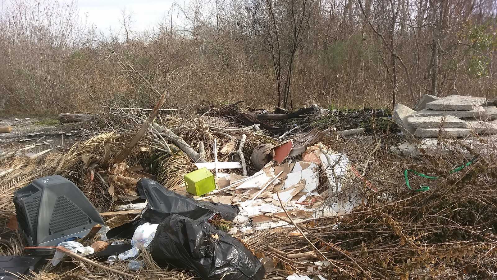 Volunteer at cleanup events across Louisiana for Love The Boot Week - Vimarsana News