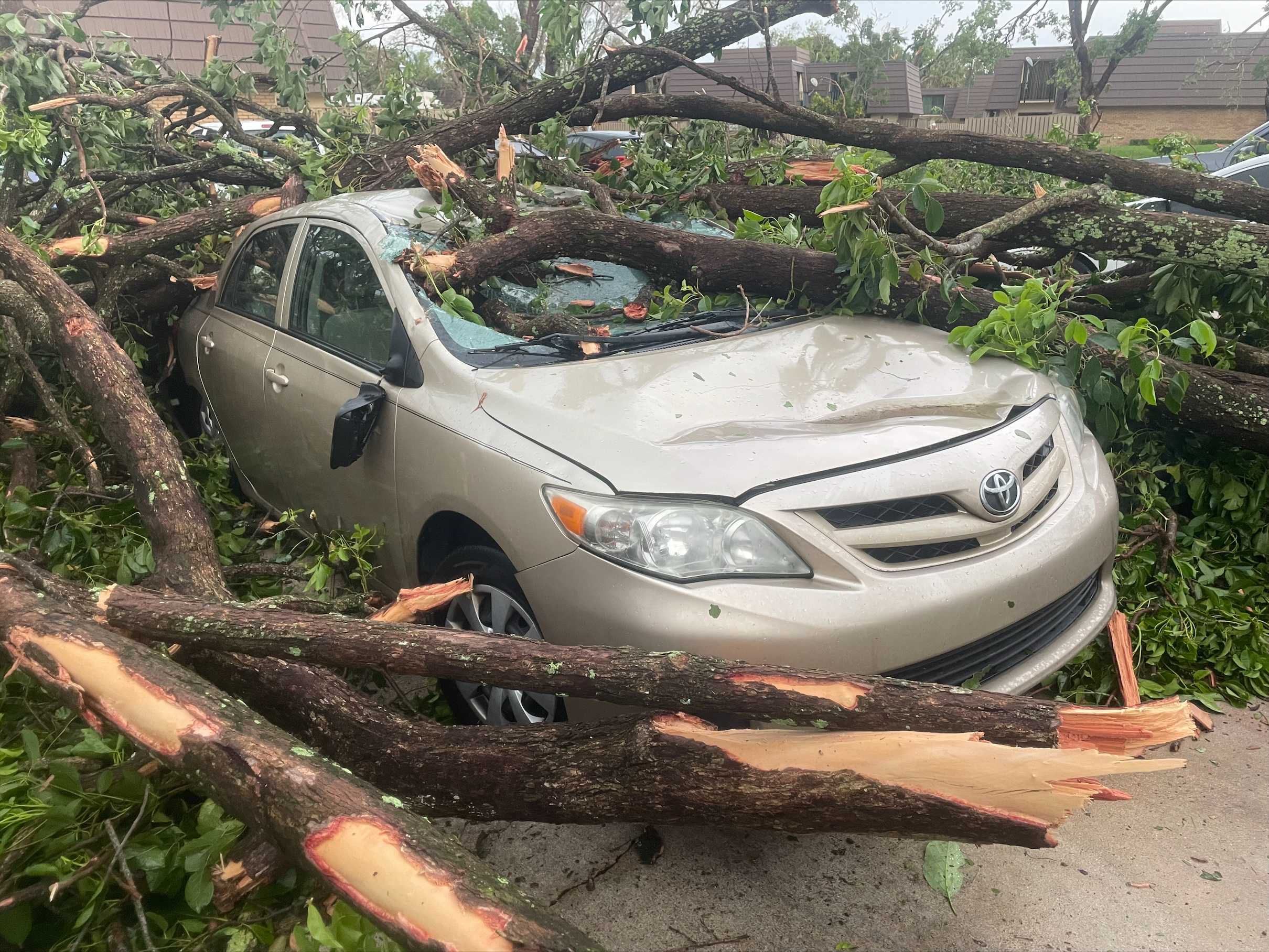 Gallery: Tornado Damage In Palm Beach Gardens