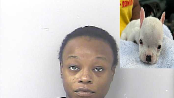 Florida woman accused of stealing and abandoning special needs dog arrested