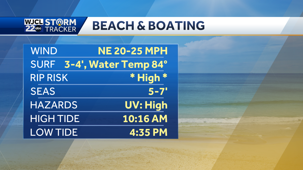 Breezy conditions today with the chance for a few showers and storms - WJCL