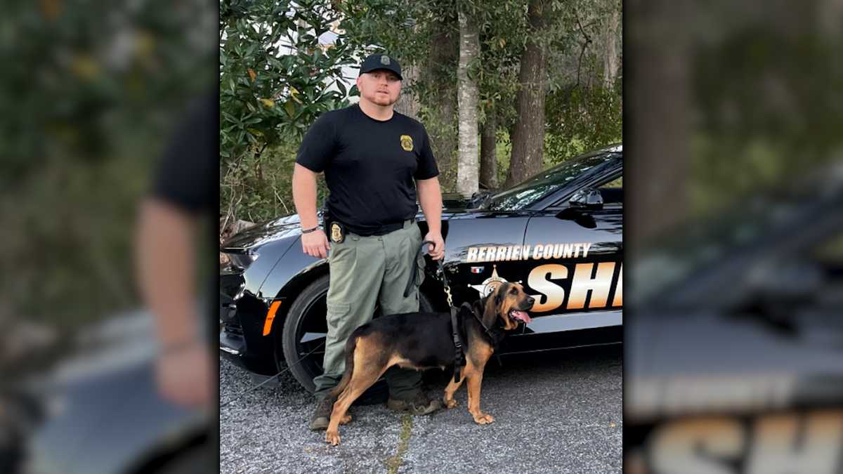 Georgia Department of Corrections K9 killed, officer injured in Ware County crash