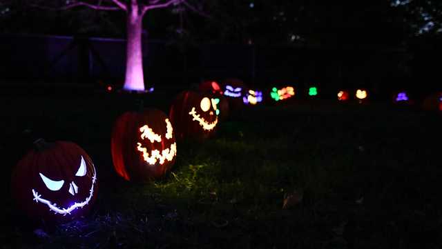 Highlands Mansion lights up with Jack O'Lanterns – The Times Herald