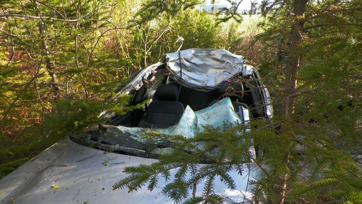 Photos show impact of crash that killed moose, injured 2