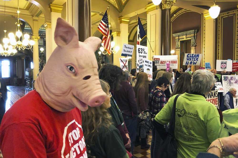 Environmental Groups Seek Hog Farm Permit Freeze At Rally