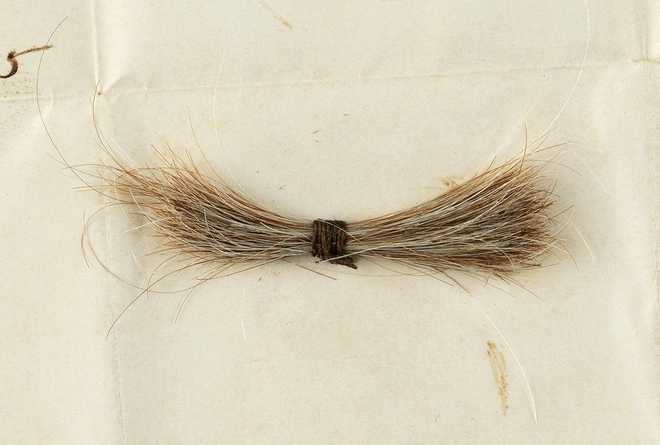 Lock of Abraham Lincoln's hair