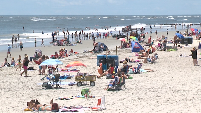 are dogs allowed on tybee island beach