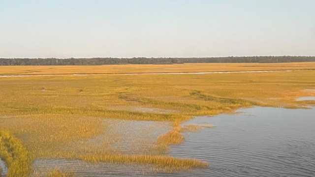 Crews rescue pilot forced to make emergency landing in marsh - Vimarsana News