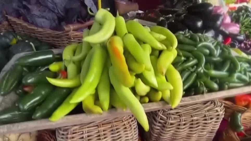 29th-annual-greenmarket-in-west-palm-beach-to-kick-off-this-weekend