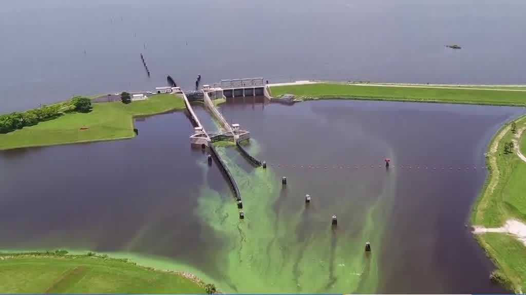 Scientist and environmental experts gather to discuss the health of Lake Okeechobee