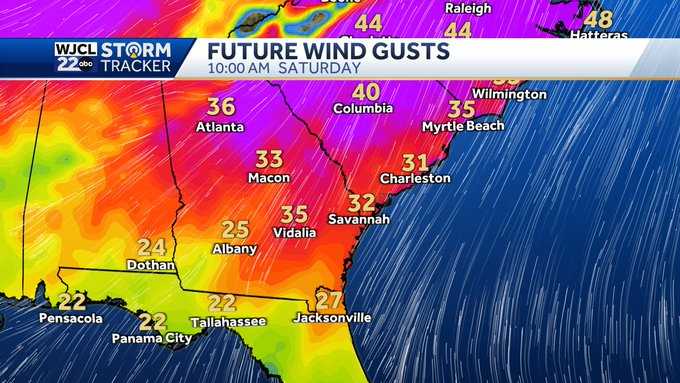 Impact Weather Day Saturday...gusty winds, severe storms possible - WJCL