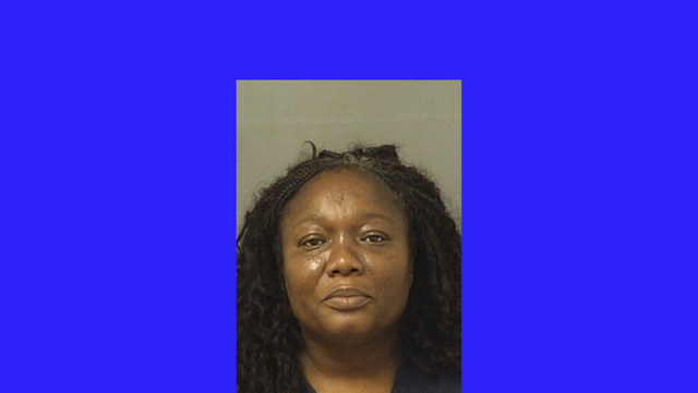 Florida woman accused of child abuse, false imprisonment - Vimarsana News