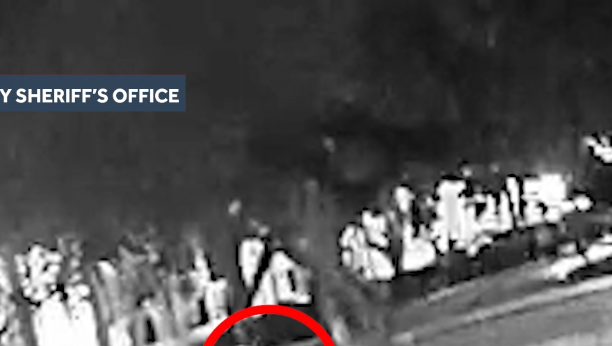 Deputies in Broward County seek information in hit-and-run in Tamarac