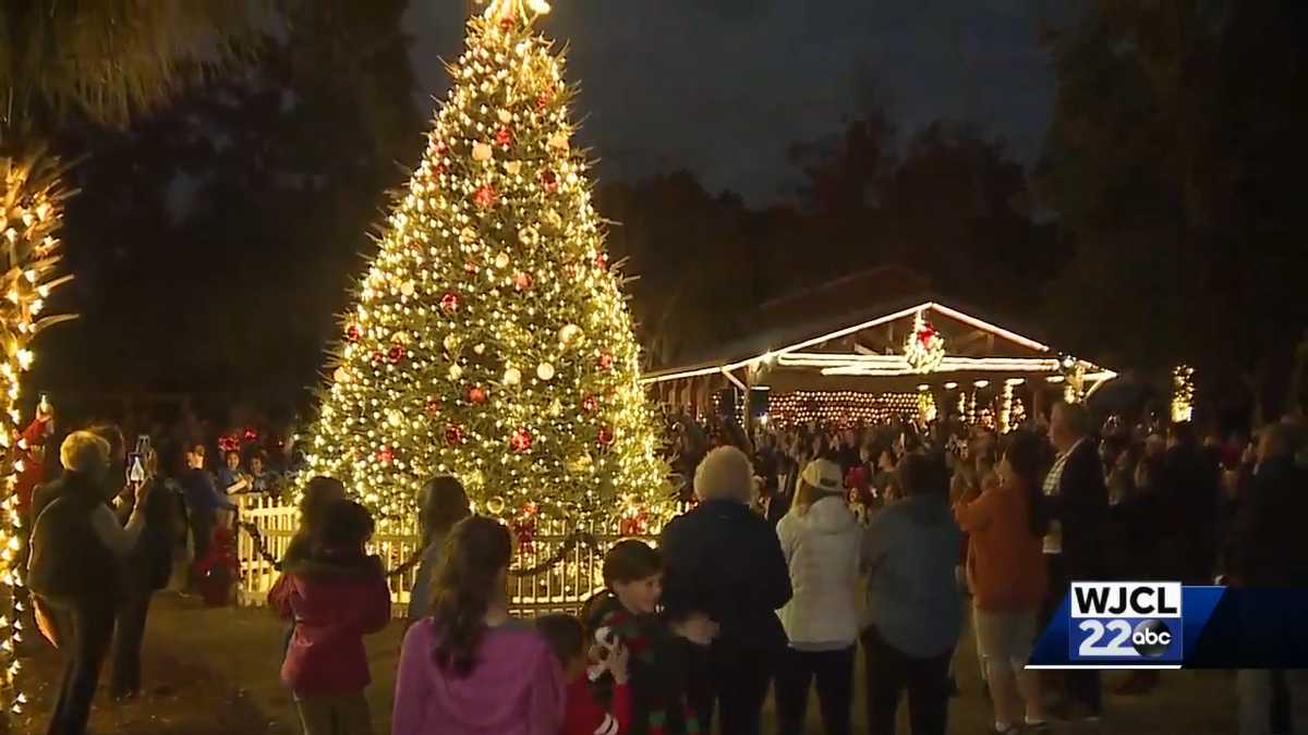 Town of Bluffton kick off the holiday season with special Tree Lighting