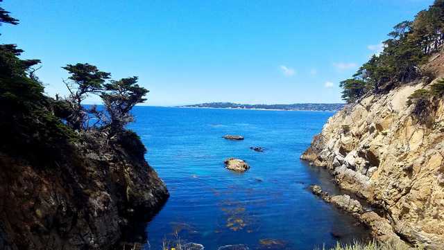 Point Lobos, 'the crown jewel of California's State Parks,' is worth braving the crowds - Vimarsana News