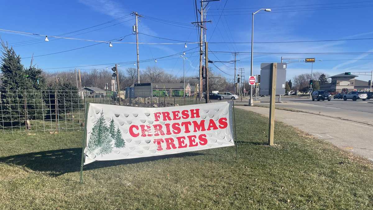 Truck driver shortage causes delay in shipping Christmas trees