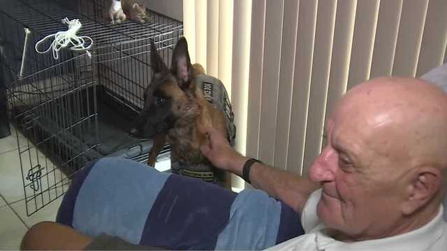 Former Navy SEAL reunites with missing service dog in Florida - Vimarsana News