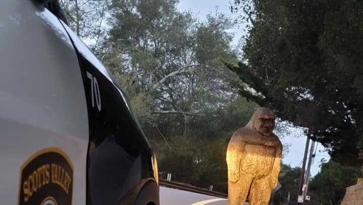 A missing Sasquatch statue was just found alone in the woods