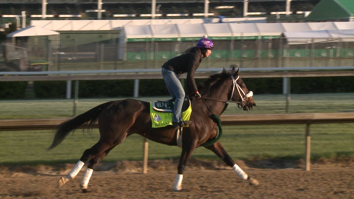 PHOTOS Horses of Kentucky Derby 144