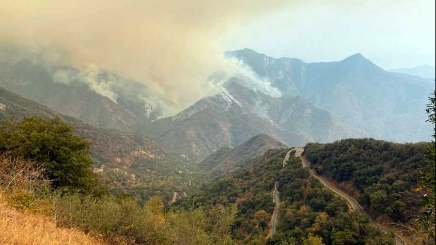 multiple wildfires started in sequoia and kings canyon national parks on sept. 9, 2021