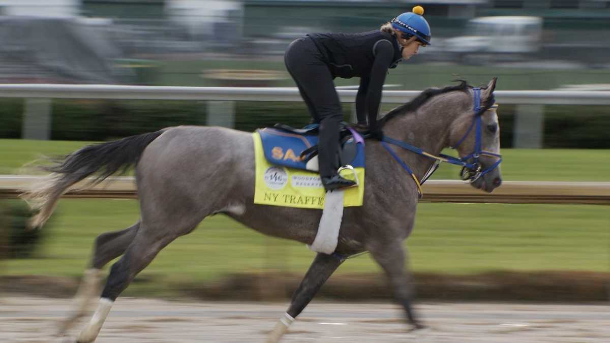 PHOTOS Meet the 16 horses racing in the 146th Kentucky Derby