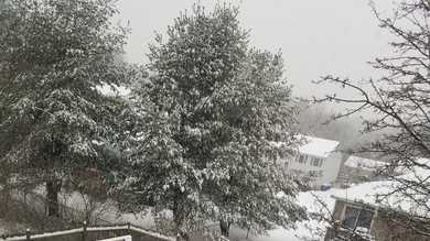 Images: Winter storm blankets New Hampshire with snow