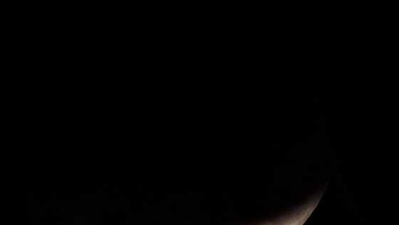 Photo Gallery: Total Lunar Eclipse over South Florida | March 3, 2026