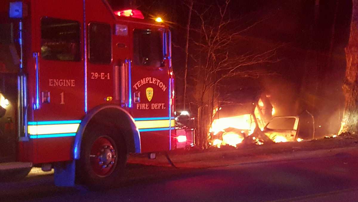 Woman Saved After Car Hits Tree Bursts Into Flames 