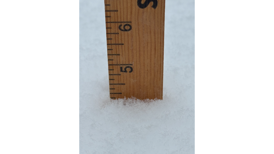 Philadelphia Snow Ruler Pennsylvania snow videos, photos from WTAE viewers