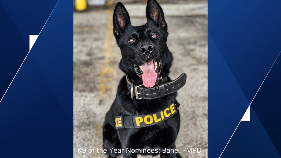 K9 Bane, FMPD