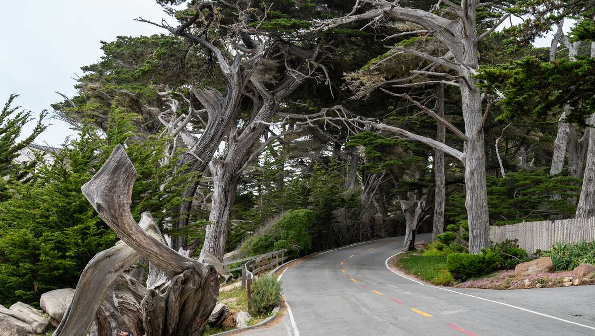 17 Mile Drive reopens after bicyclist killed in head-on crash