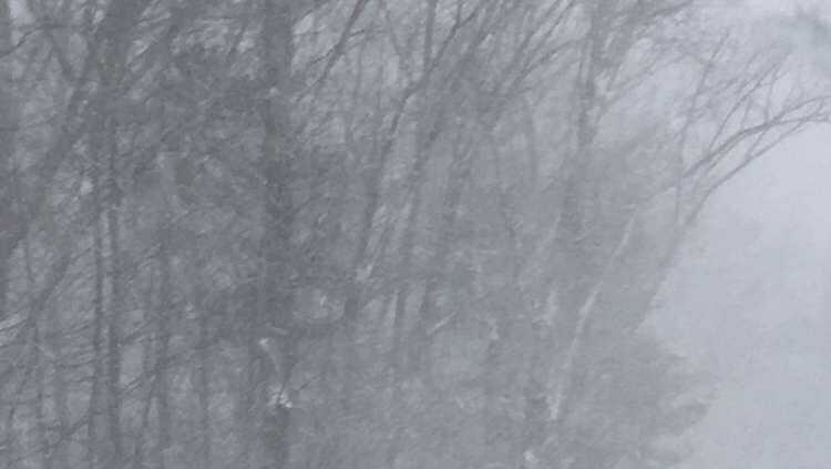 Blizzard knocks out power to thousands of Mainers; warming shelters open