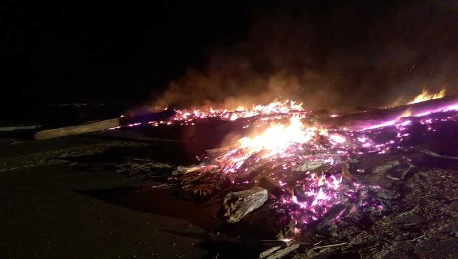 A large pile for driftwood caught fire Sunday, April 2, 2017, at Folsom Lake, the South Placer Fire District said.