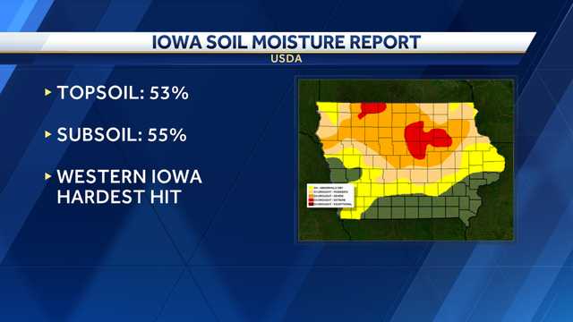 Over 50% of Iowa's top soil is short on moisture - Vimarsana News