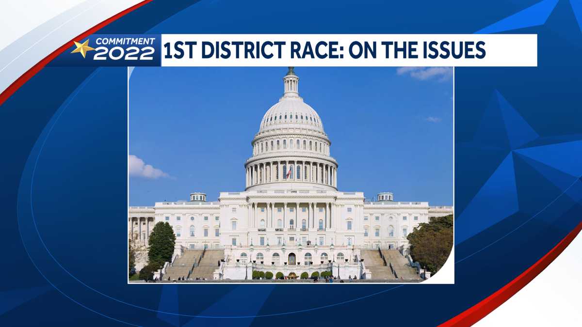 Where 2022 New Hampshire 1st District candidates stand on issues
