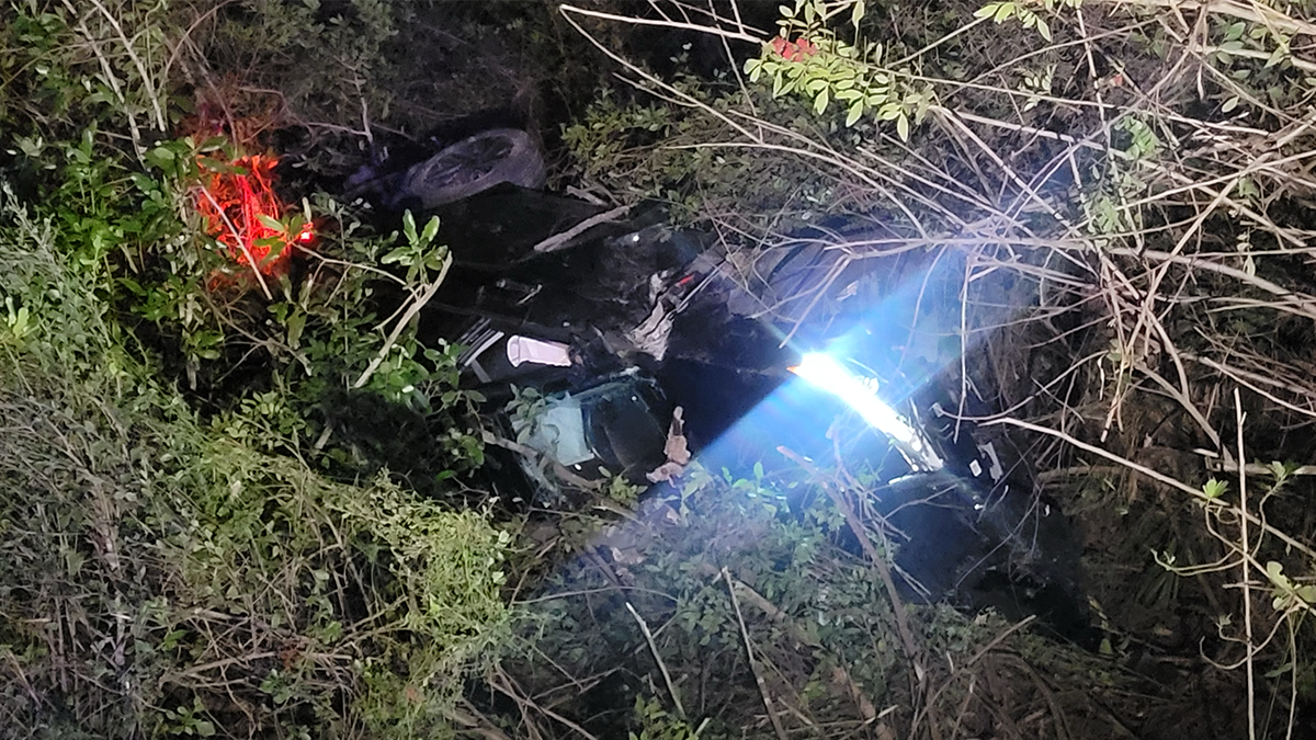 Car lands upside in bushes after rollover crash in south Fort Myers