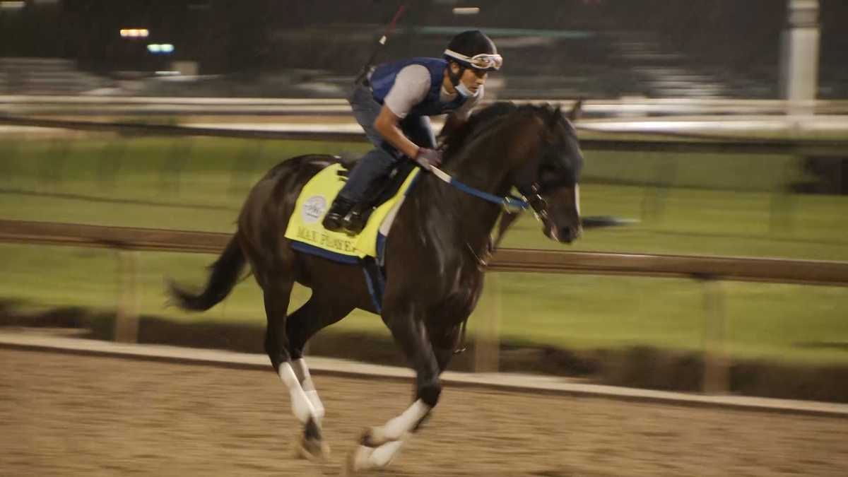 PHOTOS Meet the 16 horses racing in the 146th Kentucky Derby
