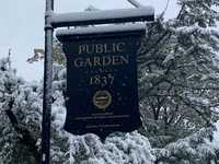 Snow in Boston's Public Garden, Oct. 30, 2020
