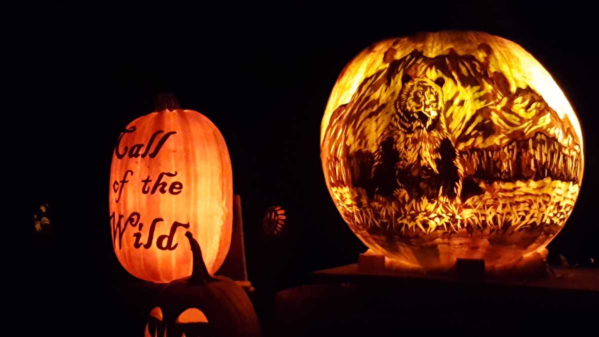 Photos: Louisville Jack-O-Lantern Spectacular